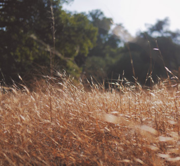 庆典变天埃瑟尔斯调演，塞维利亚即刻路塞斯